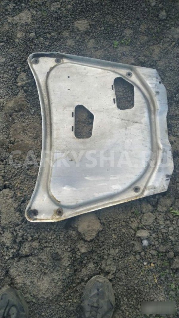 Защита ДВС BMW X5 E53 BMW X5 